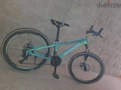 mountain bike