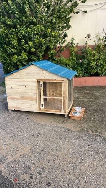 Dog Houses Available بيوت كلاب