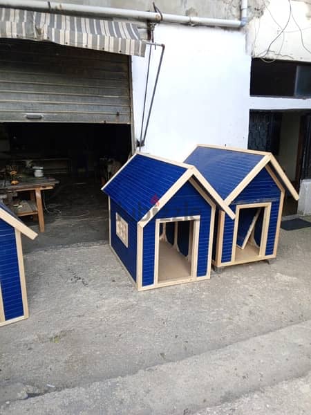 Dog Houses Available بيوت كلاب 10