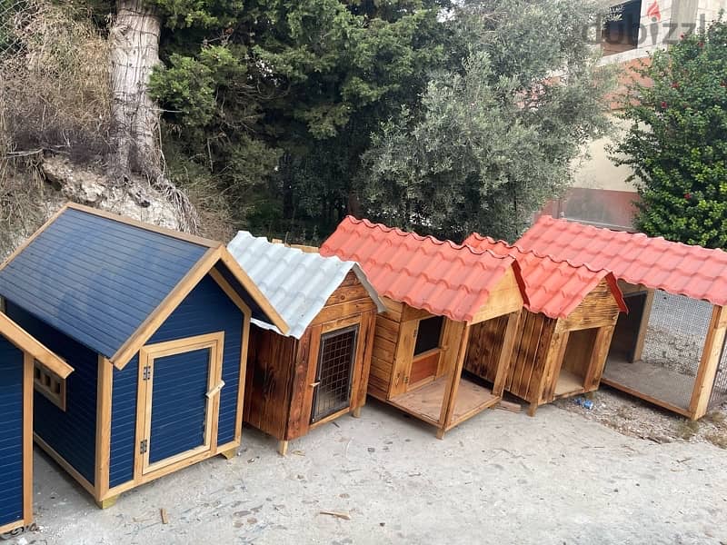 Dog Houses Available بيوت كلاب 13