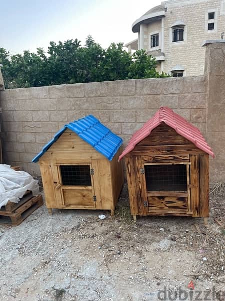 Dog Houses Available بيوت كلاب 14