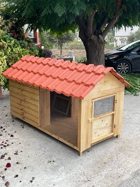 Dog Houses Available بيوت كلاب 17