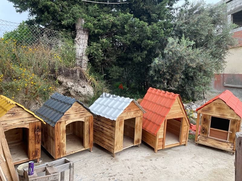 Dog Houses Available بيوت كلاب 18