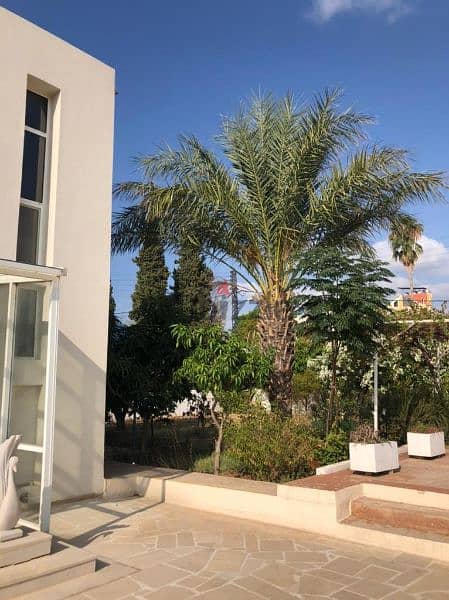 villa For sale in jbeil amchit. فيلا للبيع في جبيل عمشيت ٥٠٠،٠٠٠$ 5