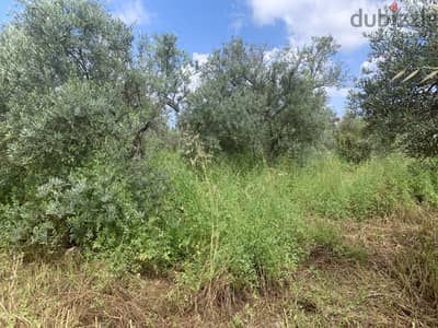 RWB127NK - Land for sale in Jeddayel Jbeil