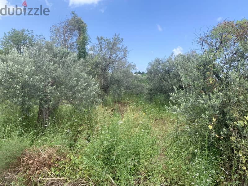 RWB127NK - Land for sale in Jeddayel Jbeil 2