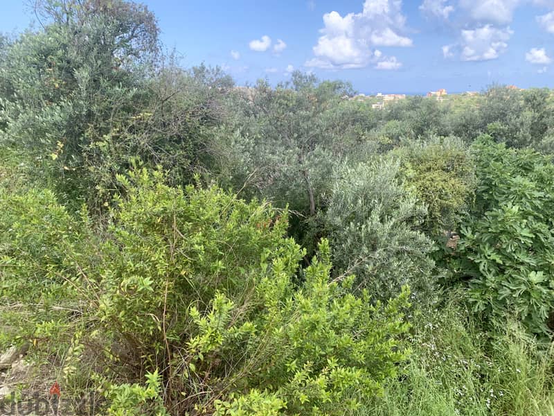 RWB127NK - Land for sale in Jeddayel Jbeil 3