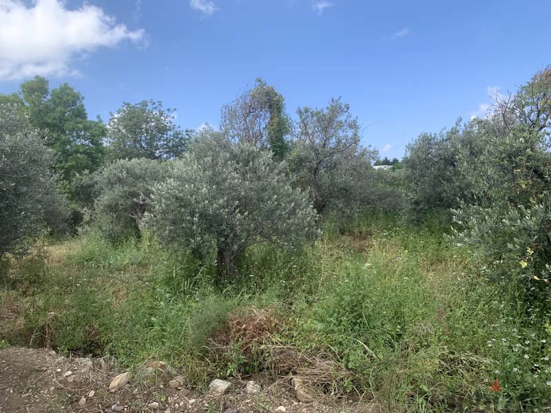 RWB127NK - Land for sale in Jeddayel Jbeil 4