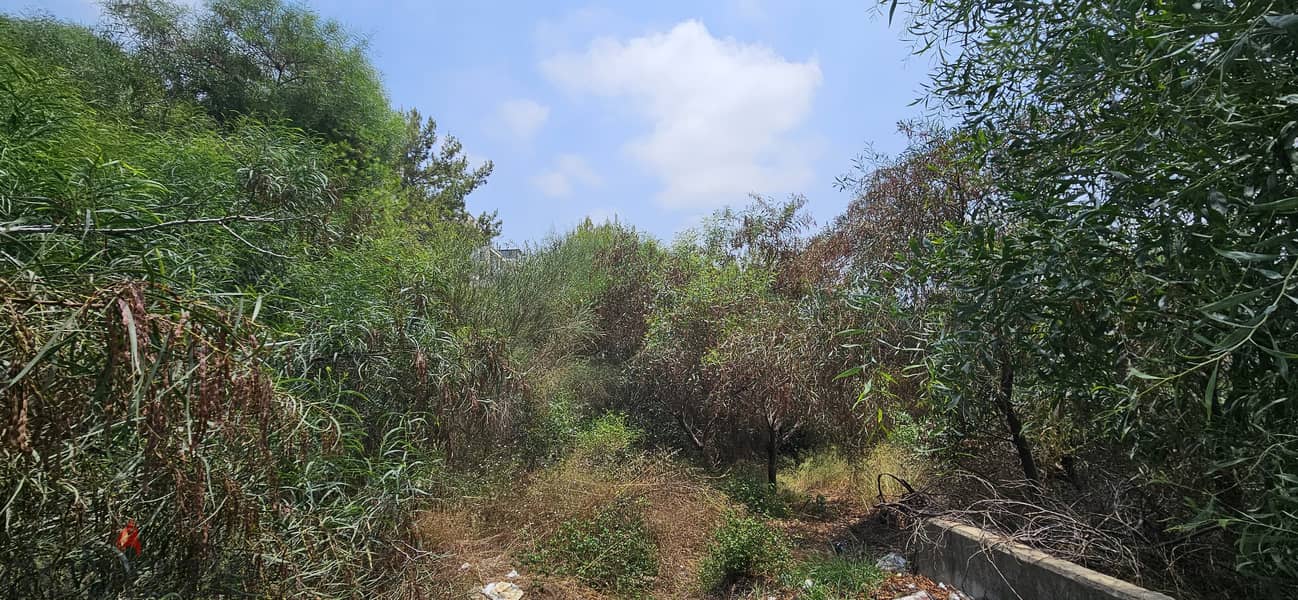 Land for sale in Yarzeh أرض للبيع في اليرزة 12