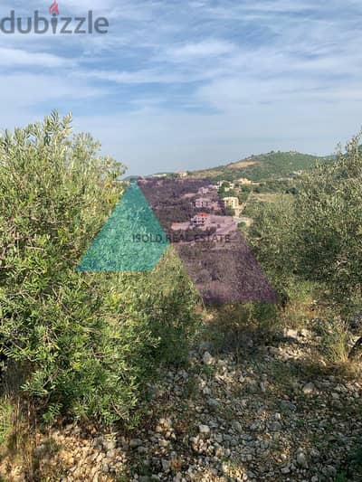 A 12000 m2 land for sale in Ghalboun/Jbeil