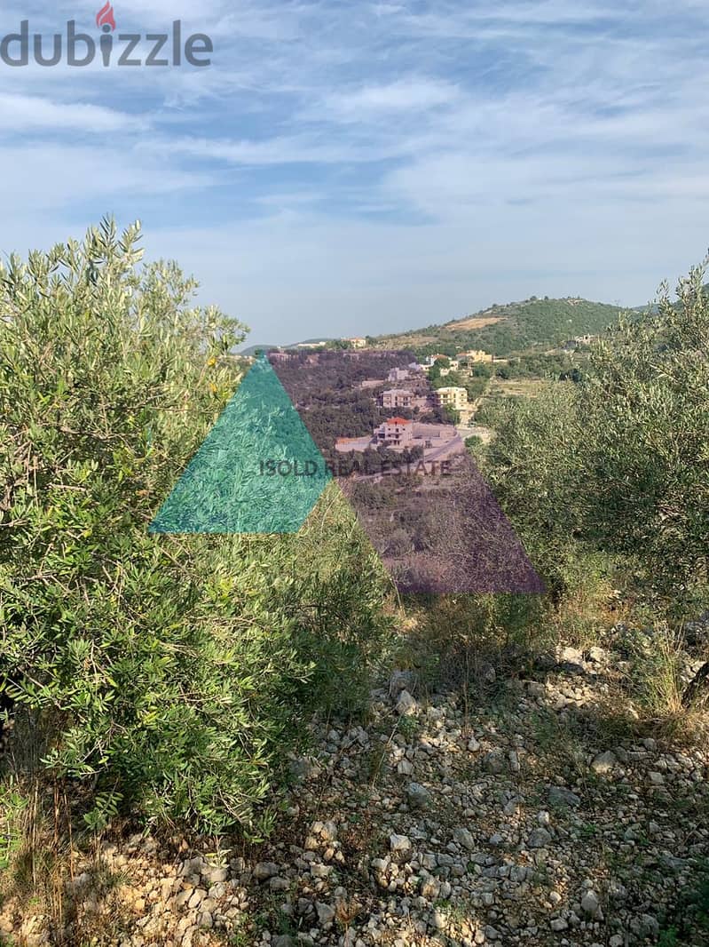 A 12000 m2 land for sale in Ghalboun/Jbeil 0