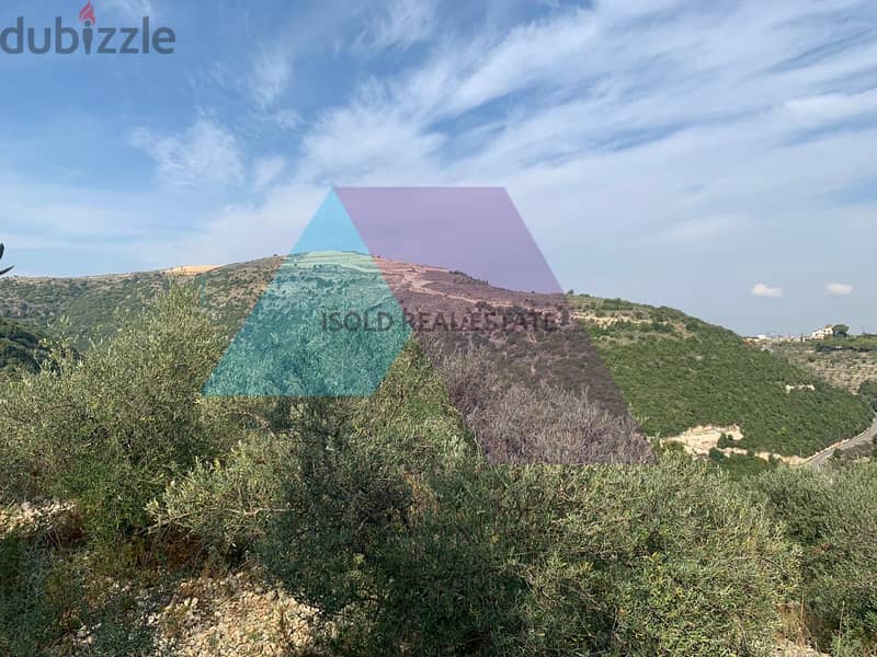 A 12000 m2 land for sale in Ghalboun/Jbeil 1