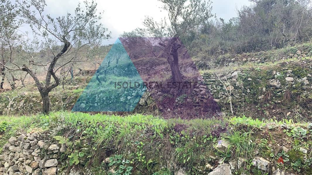 A 12000 m2 land for sale in Ghalboun/Jbeil 3