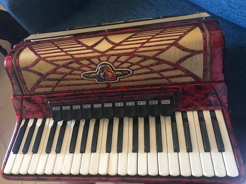 German Accordion 120 bass 5