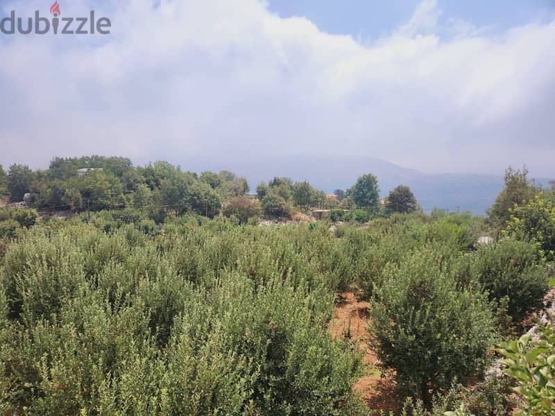 VERY HOT DEAL LAND FOR SALE IN KFARDEBIAN 1