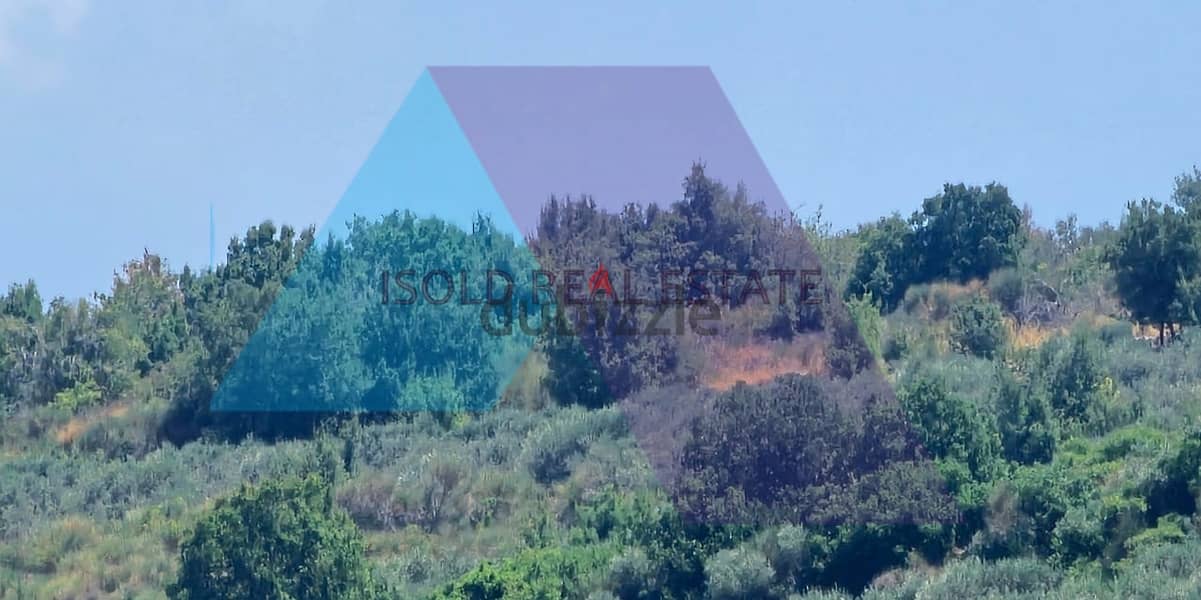 A 20,000 m2 land for sale in Aawra/Batroun 0