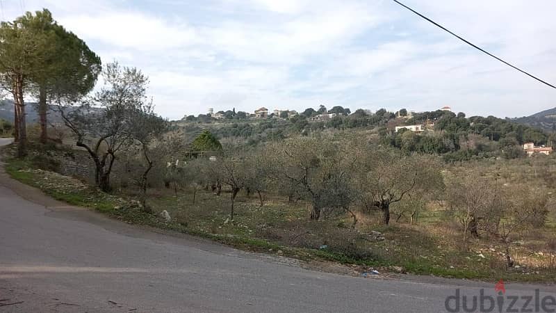 Amchite Ainkfaa land for sale 34 olive trees/عقار للبيع عمشيت عين كفاع 1