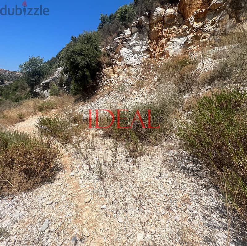 Land for sale in batroun, Chabtine 3115 SQM REF#JCF3244 1