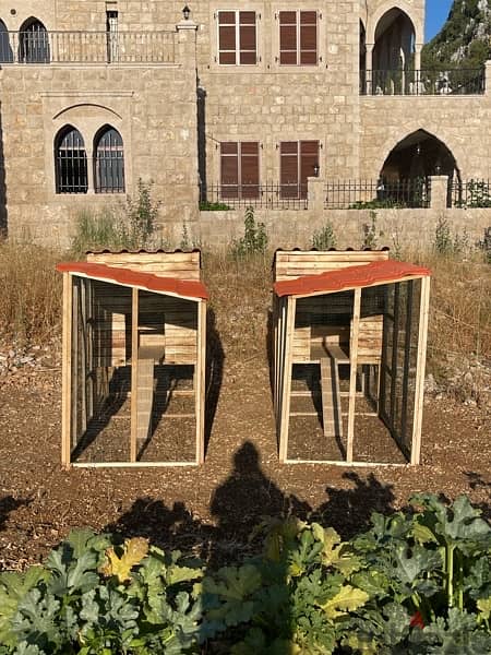 Chicken Cages بيوت دجاج 2