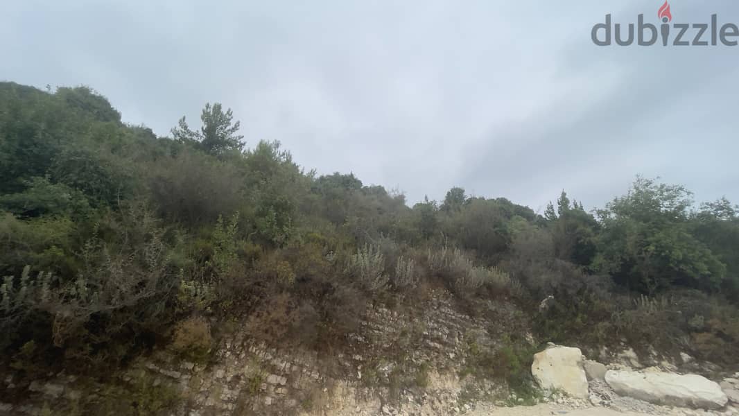 RWB164CA - Land for sale in Hboub Jbeil 3