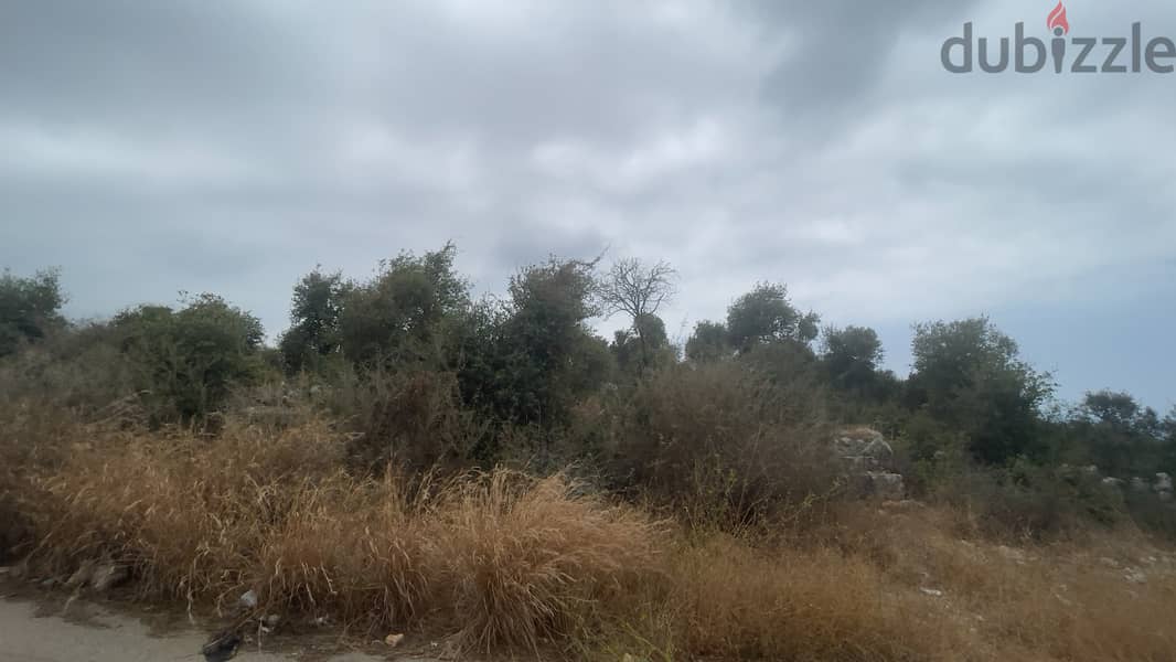 RWB165CA - Land for sale in Jbeil - Edde 0