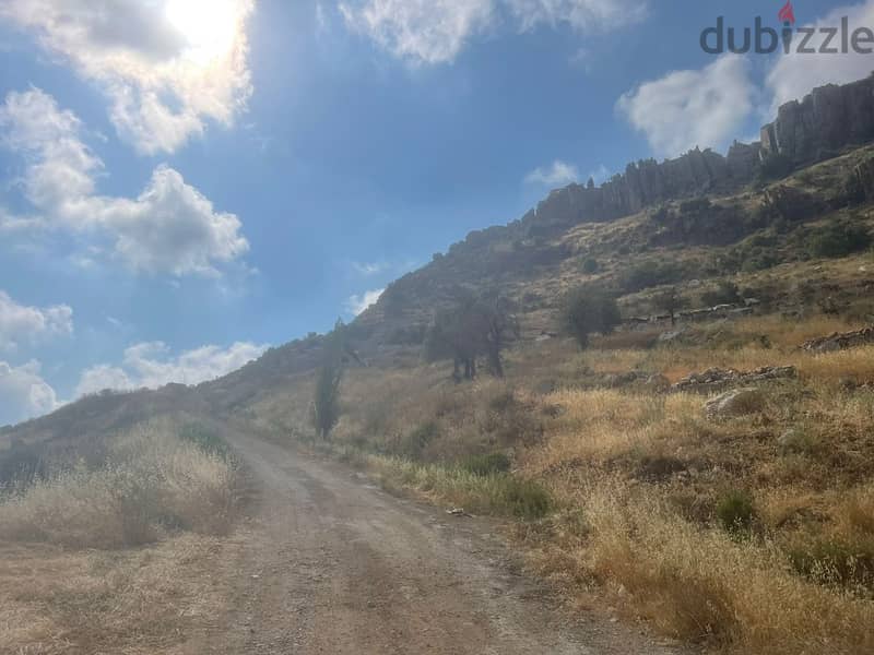 4000 Sqm | Land For Rent In Faraya | Mountain View 1