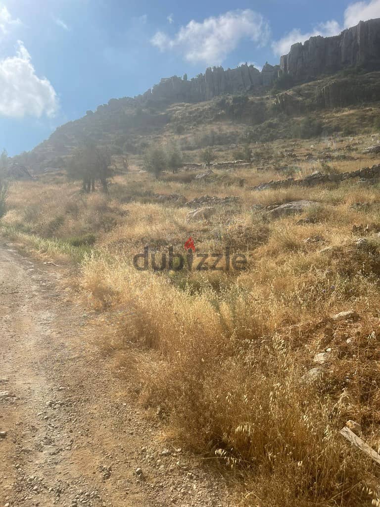 4000 Sqm | Land For Rent In Faraya | Mountain View 2