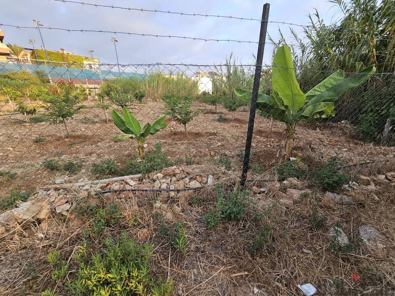 RWB326MT - Land for sale in Amchit Jbeil 6