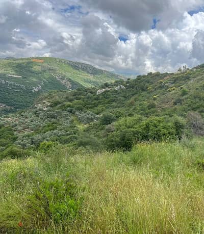 1235 Sqm | Land For Sale In Ammik عميق - Chouf | Mountain View