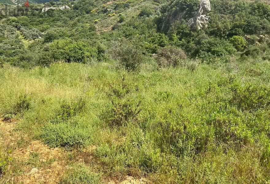 1235 Sqm | Land For Sale In Ammik عميق - Chouf | Mountain View 1