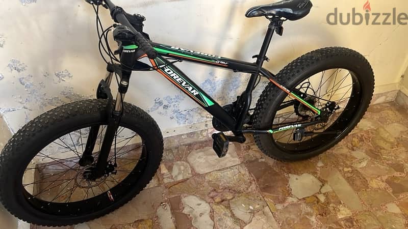 Fat bike 1