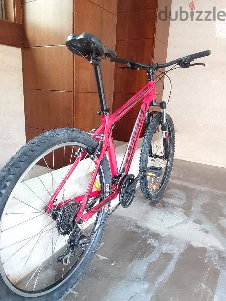 specialized Hardrok 3