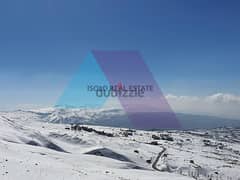 A 25,000 m2 land for sale in Bakish/Baskinta,Prime Location 0