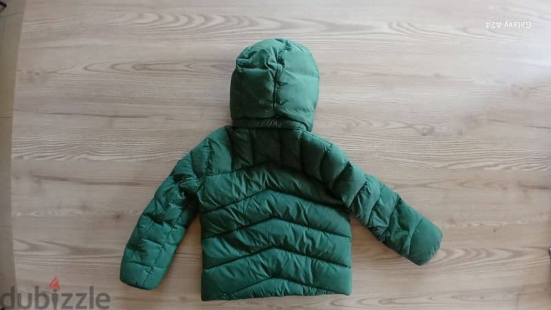 jacket tommy hilfiger green like new 0