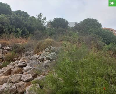 3686sqm prime  land in nabay/ نابيه REF#SF111426