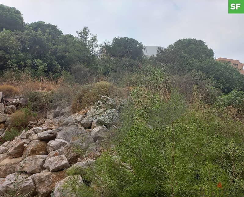 3686sqm prime  land in nabay/ نابيه REF#SF111426 0