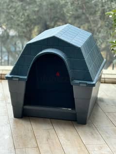 dog house