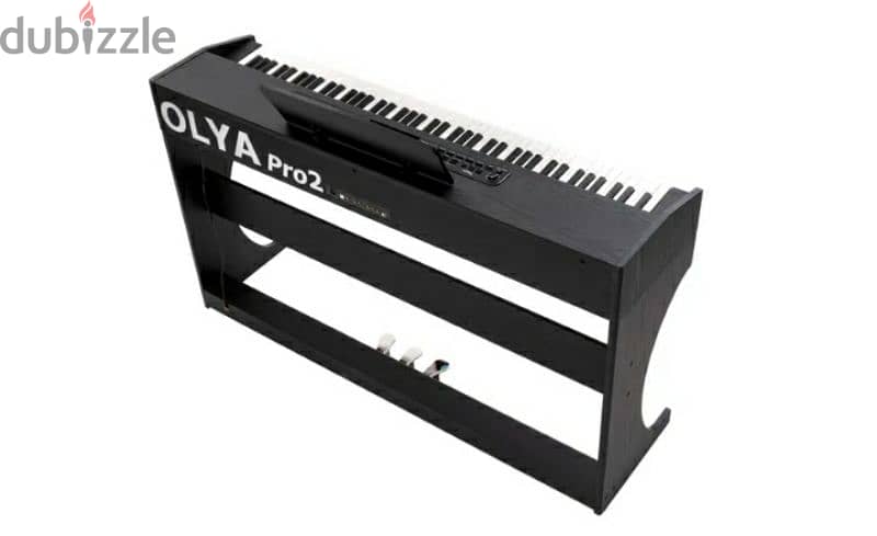 Piano colemann olya pro 2

(made in FRANCE)/5$ delivery 2