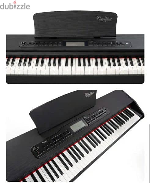 Piano colemann olya pro 2

(made in FRANCE)/5$ delivery 4