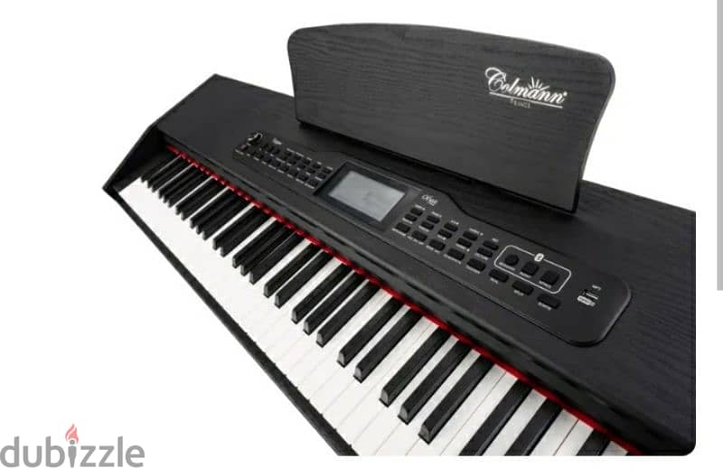 Piano colemann olya pro 2

(made in FRANCE)/5$ delivery 5