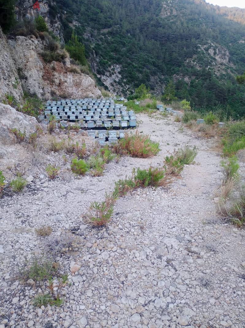 RWB333MT - Land for sale in Jbeil Blat 1