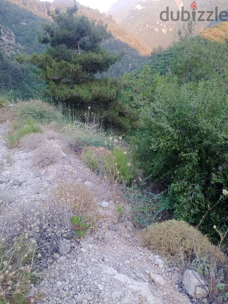 RWB333MT - Land for sale in Jbeil Blat 4