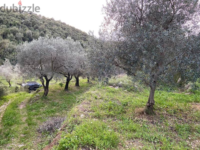 Land for sale in Jran-Batroun ارض للبيع في جران البترون 0