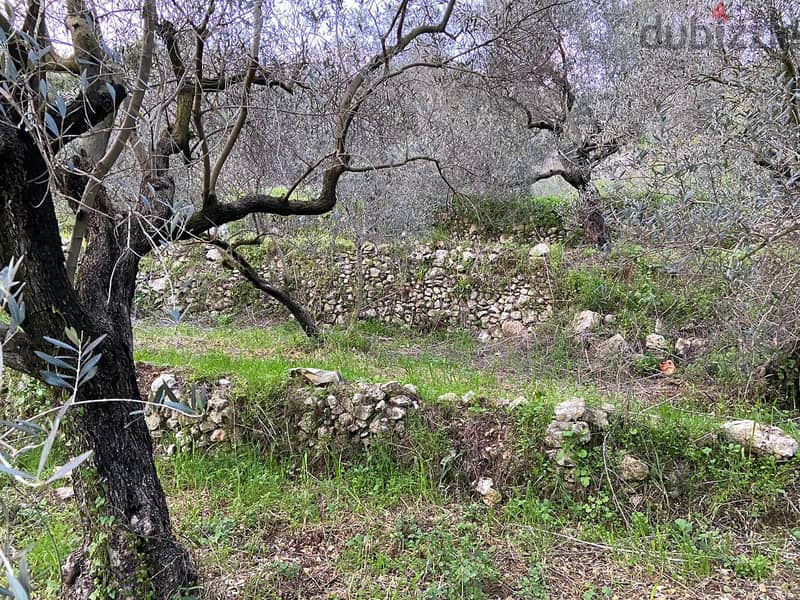 Land for sale in Jran-Batroun ارض للبيع في جران البترون 1