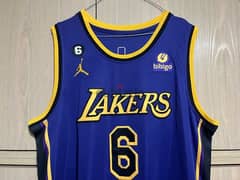 lebron james 6  lakers air jordan jersey 0