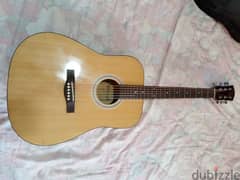 Acoustic guitar