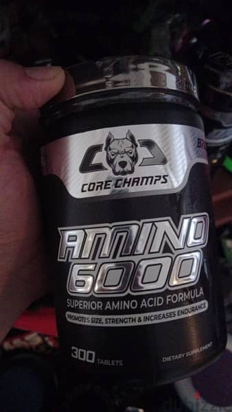 core champs 6000 amino acid 300 tablets 75 servings