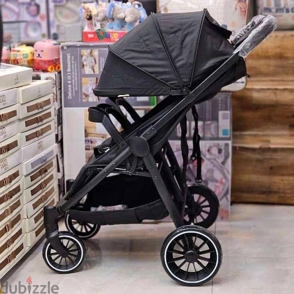 side by side stroller 1