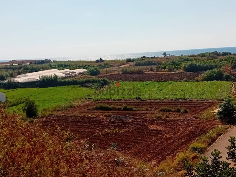 Land for Sale in Damour أرض للبيع في دامور 2