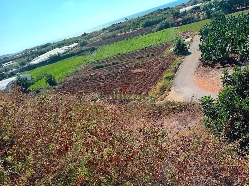 Land for Sale in Damour أرض للبيع في دامور 3